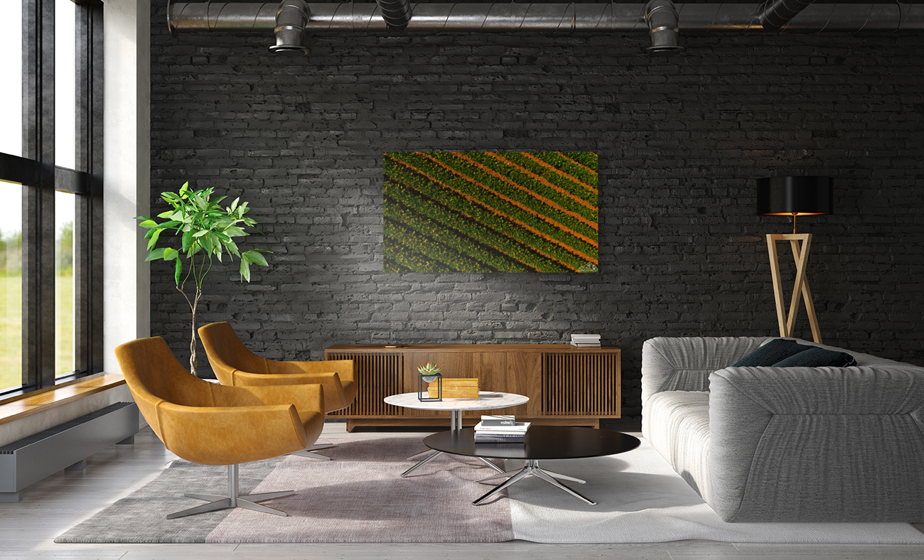 Bean Field Art