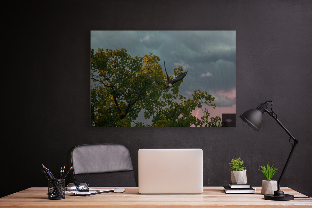 Eagle in the storm Art