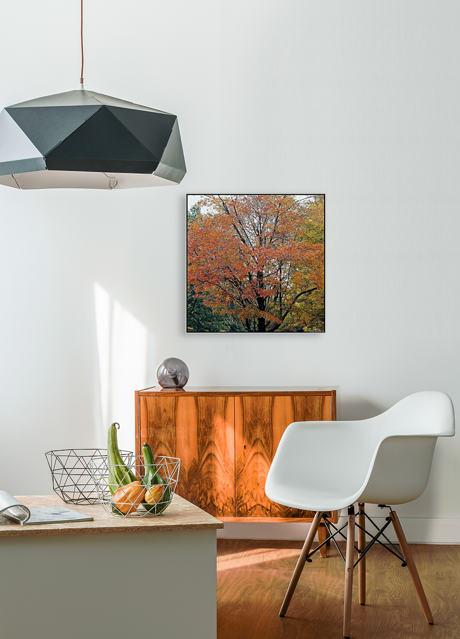 Vermont Fall Colors Art