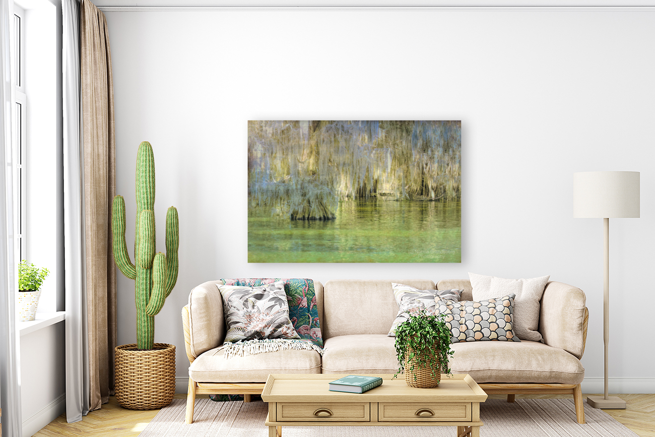 Louisiana Bald Cypress Light Beams Art