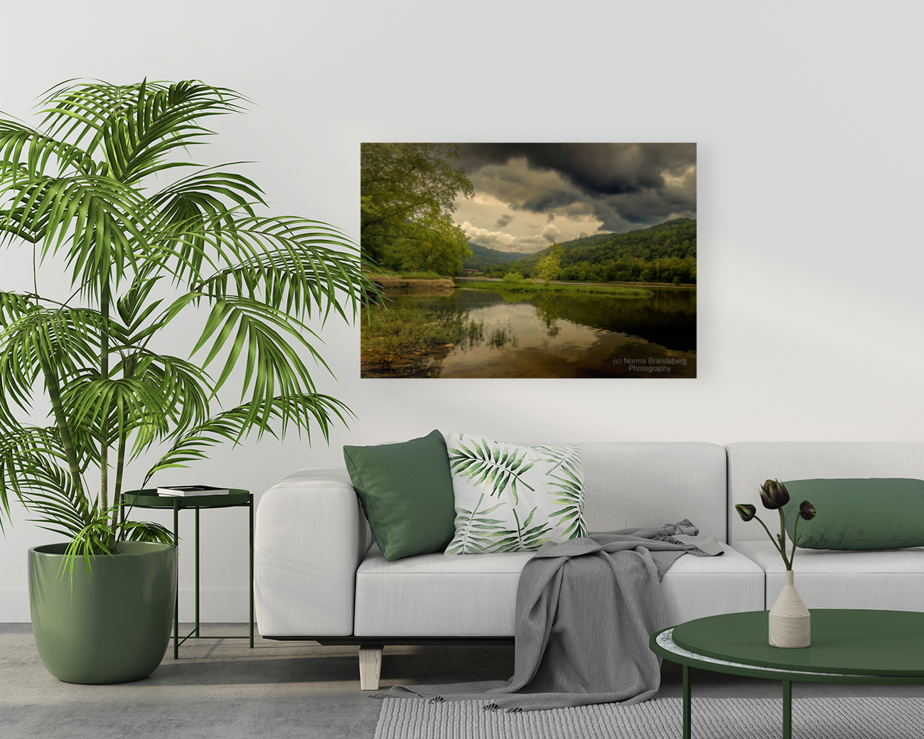 West Virginia New River Hawks Nest Park  Art