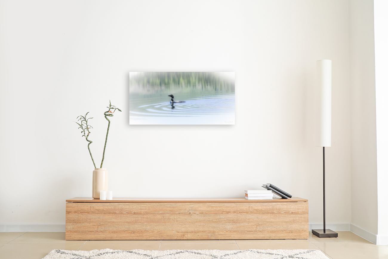 Loon Solitude - BD23004.1 Art