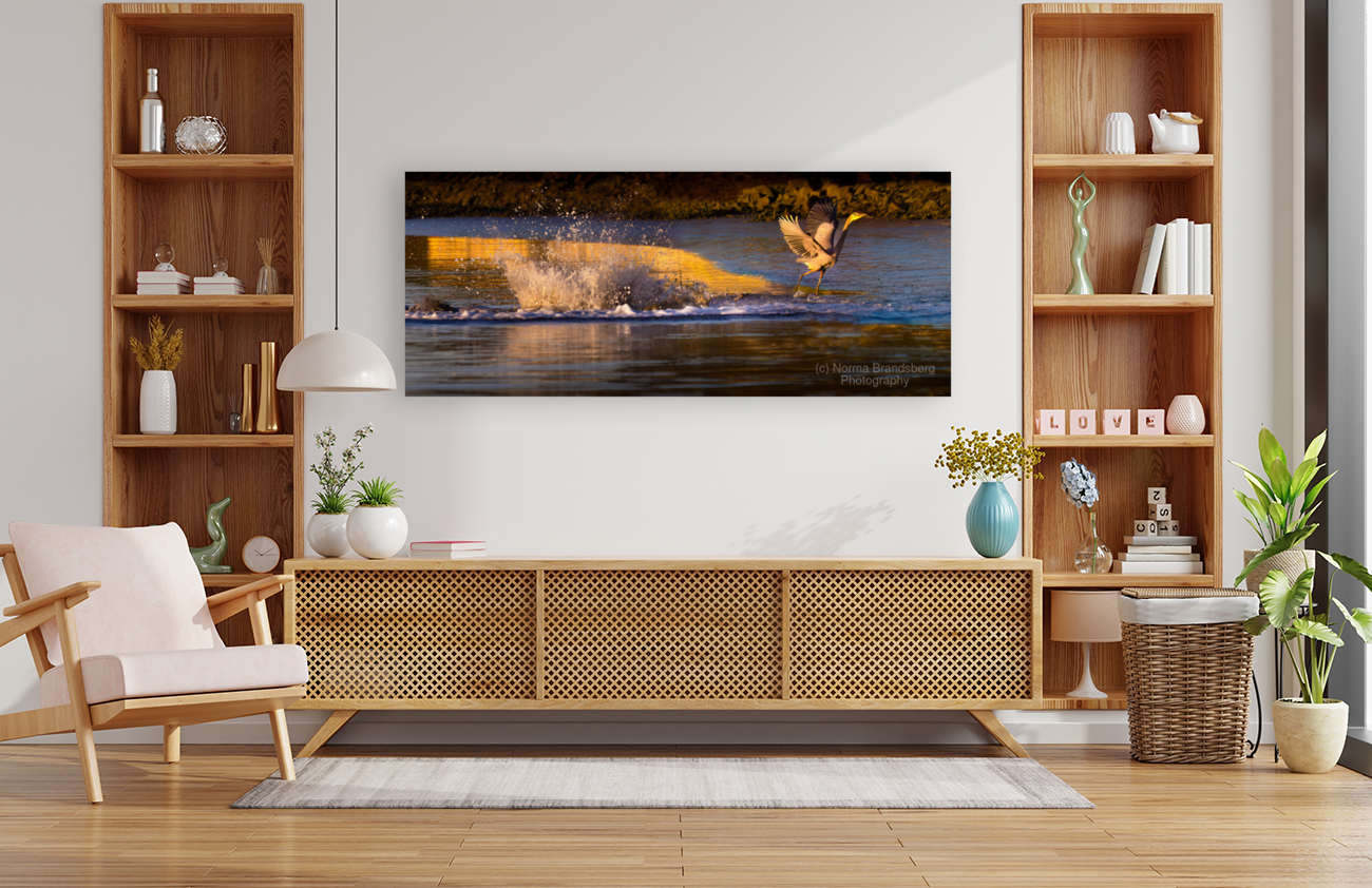 Surprise Porpoise Heron Attack Art