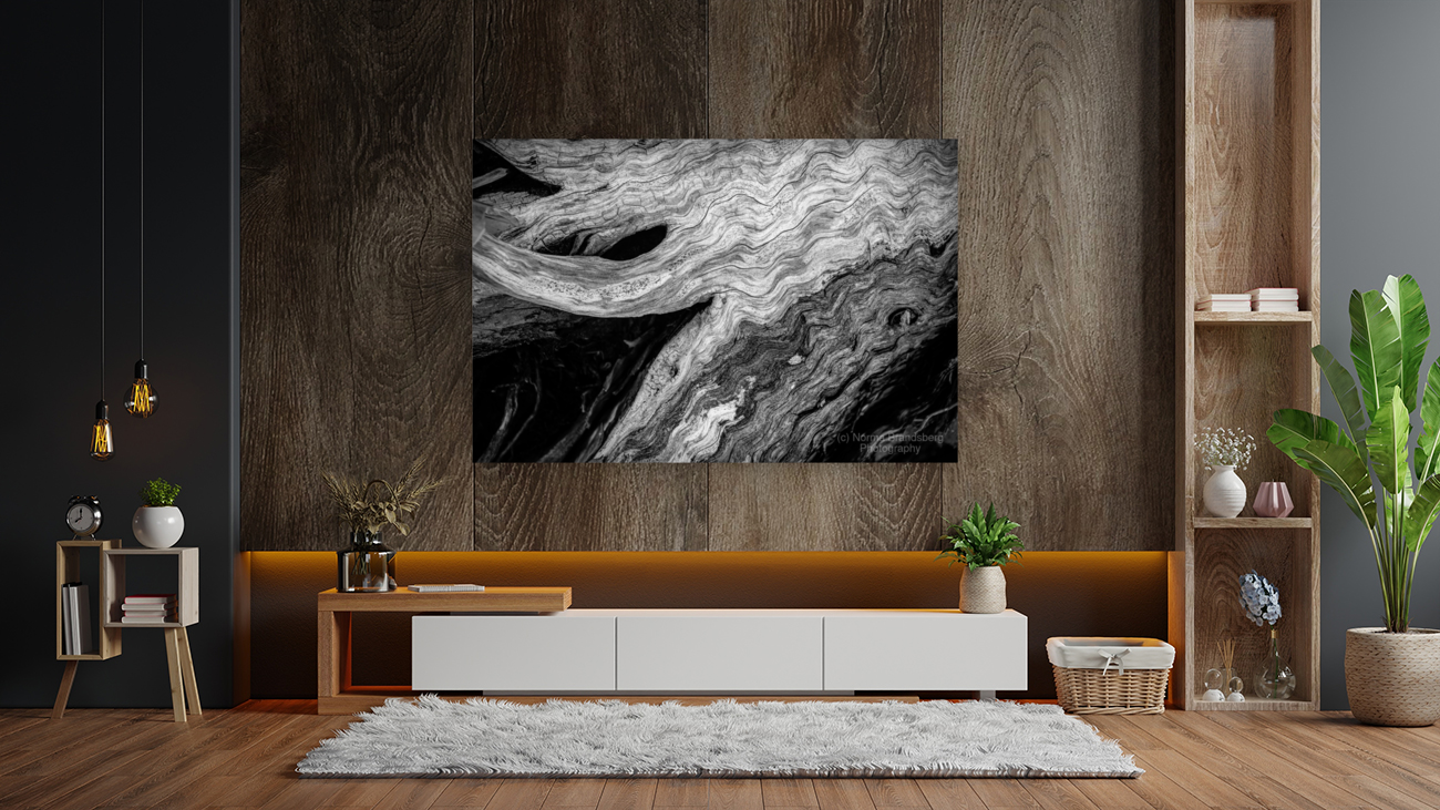 Abstract  Bald Cypress Tree Root Patterns in Black and White Art