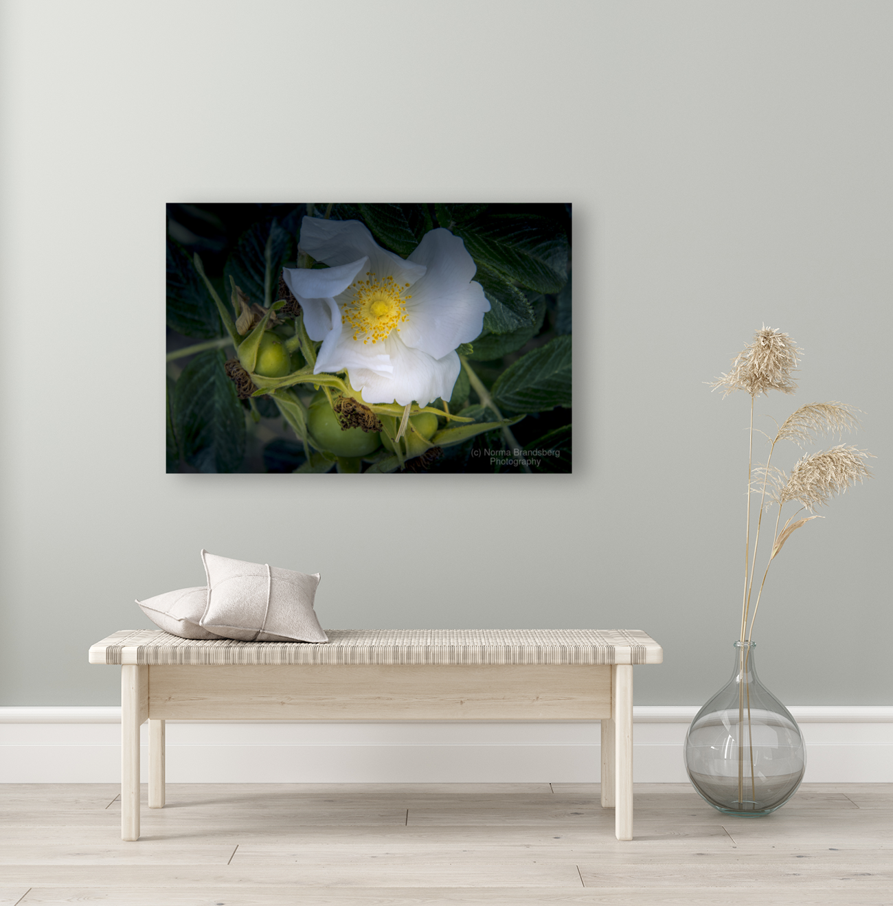 French Normandy Coastline Rose Hips Art