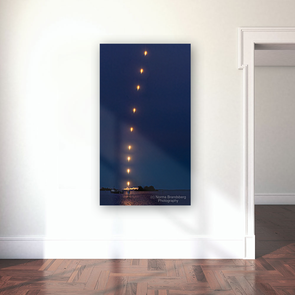 Space X Starlink Launch Florida  Art