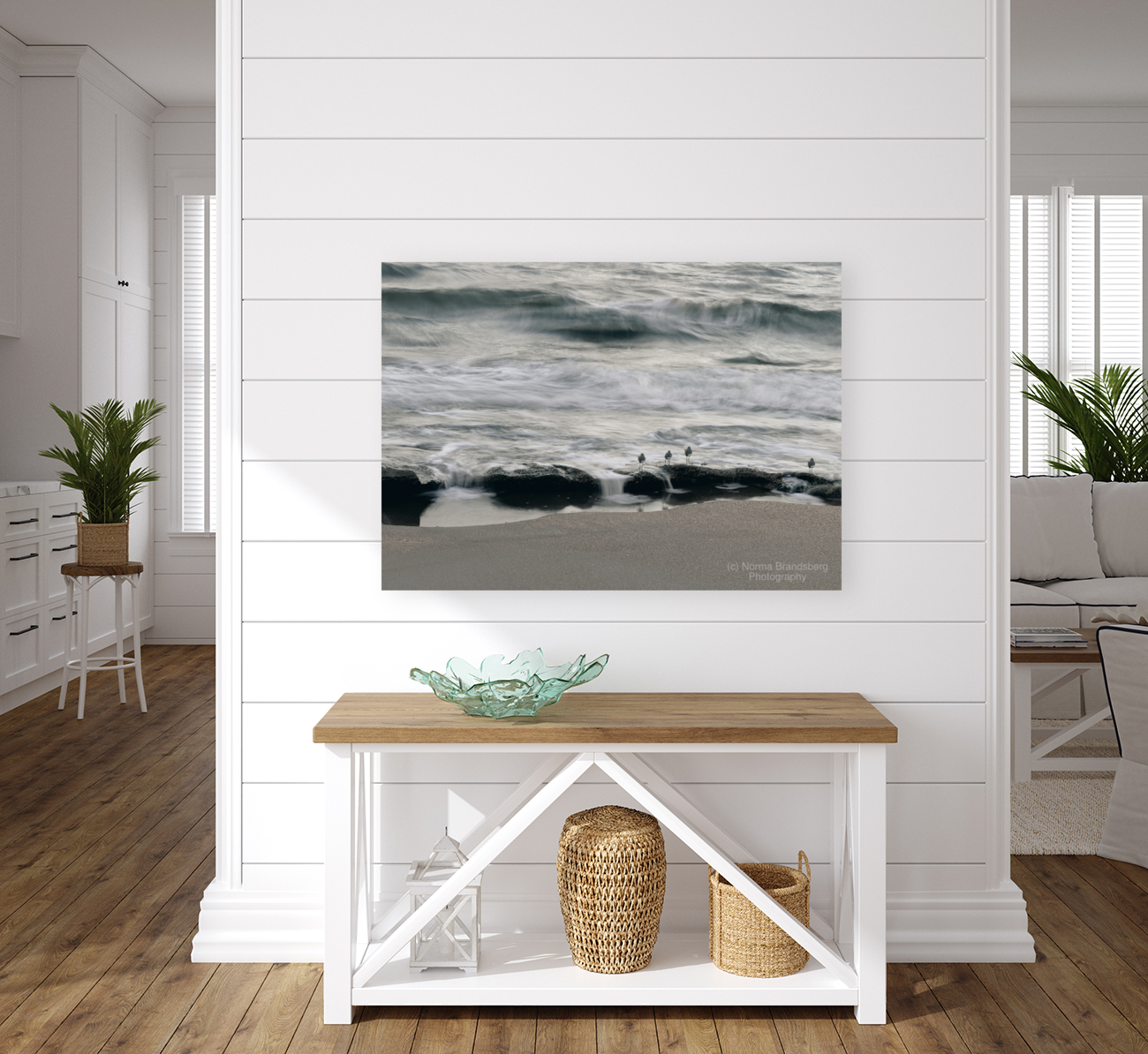 Coquina Beach Birds Palm Coast Florida Art