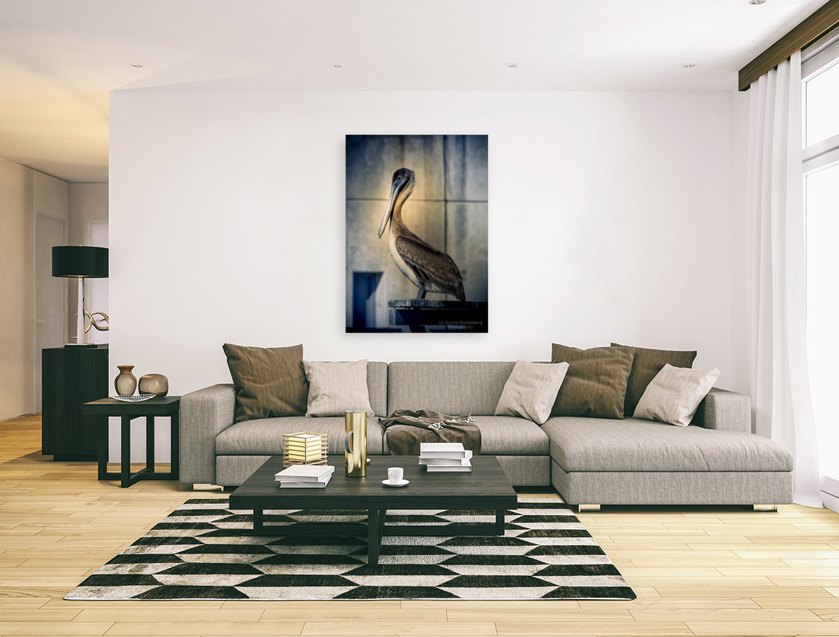 Big Beautiful Strutting Bird Art