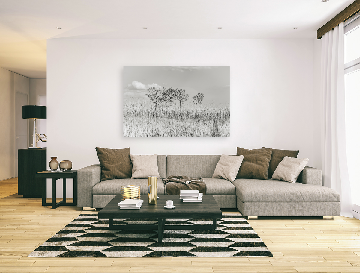 Blowing in the Winds Art