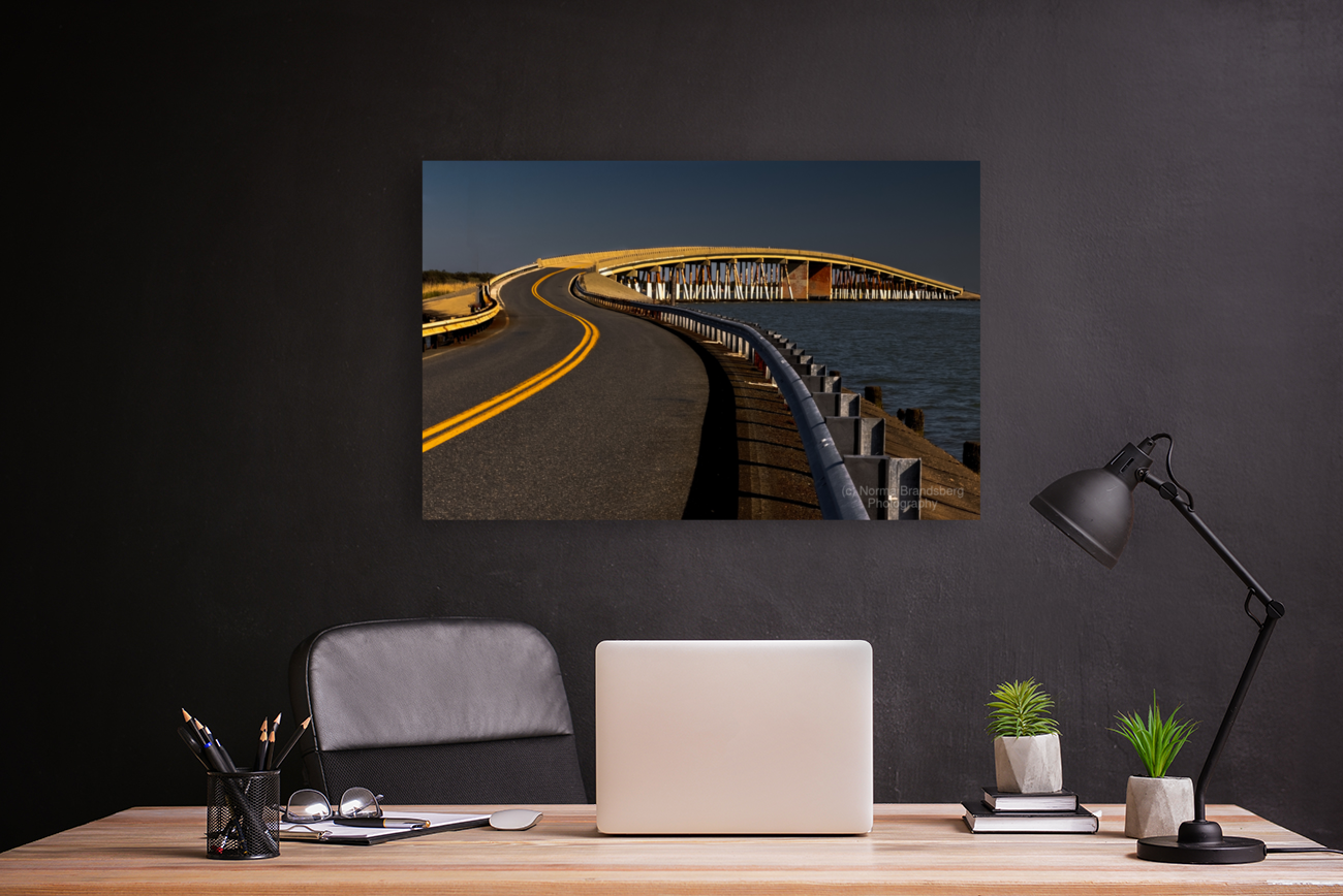 Maryland Slalom Course Art