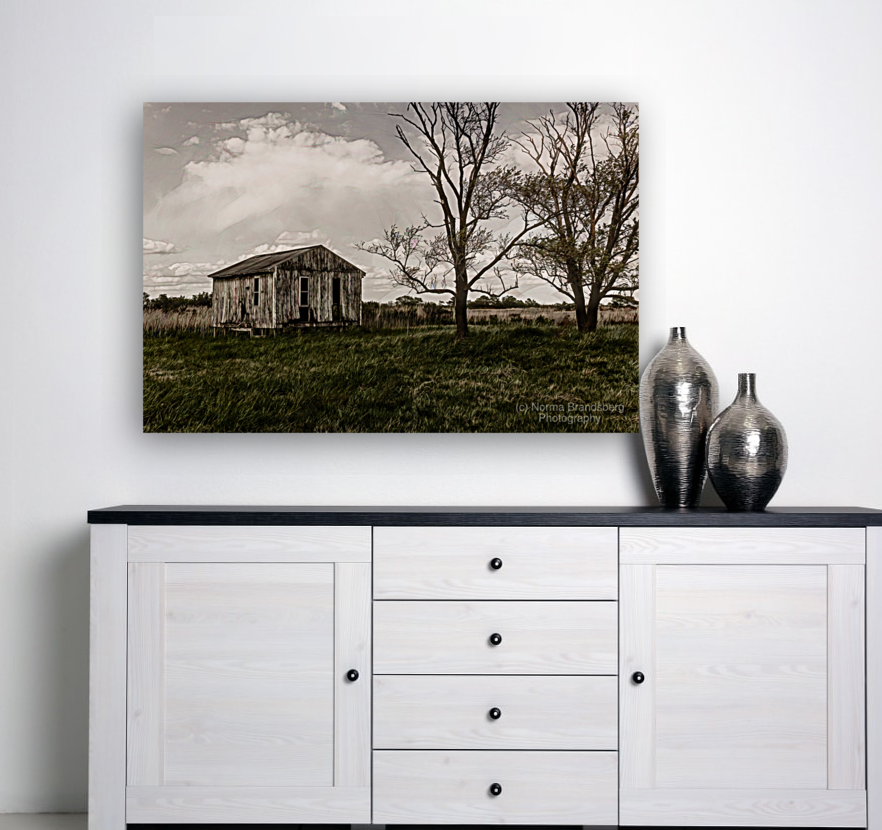 Virginia Eastern Shore Shack Art