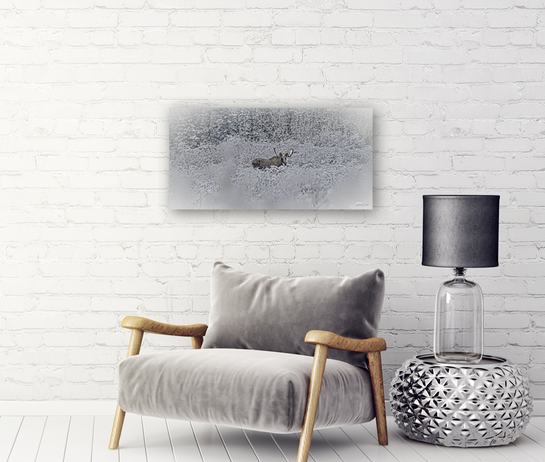 Winter Moose - WL24001 Art
