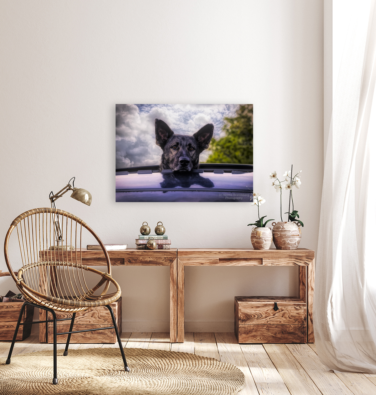 Along for the Ride Art