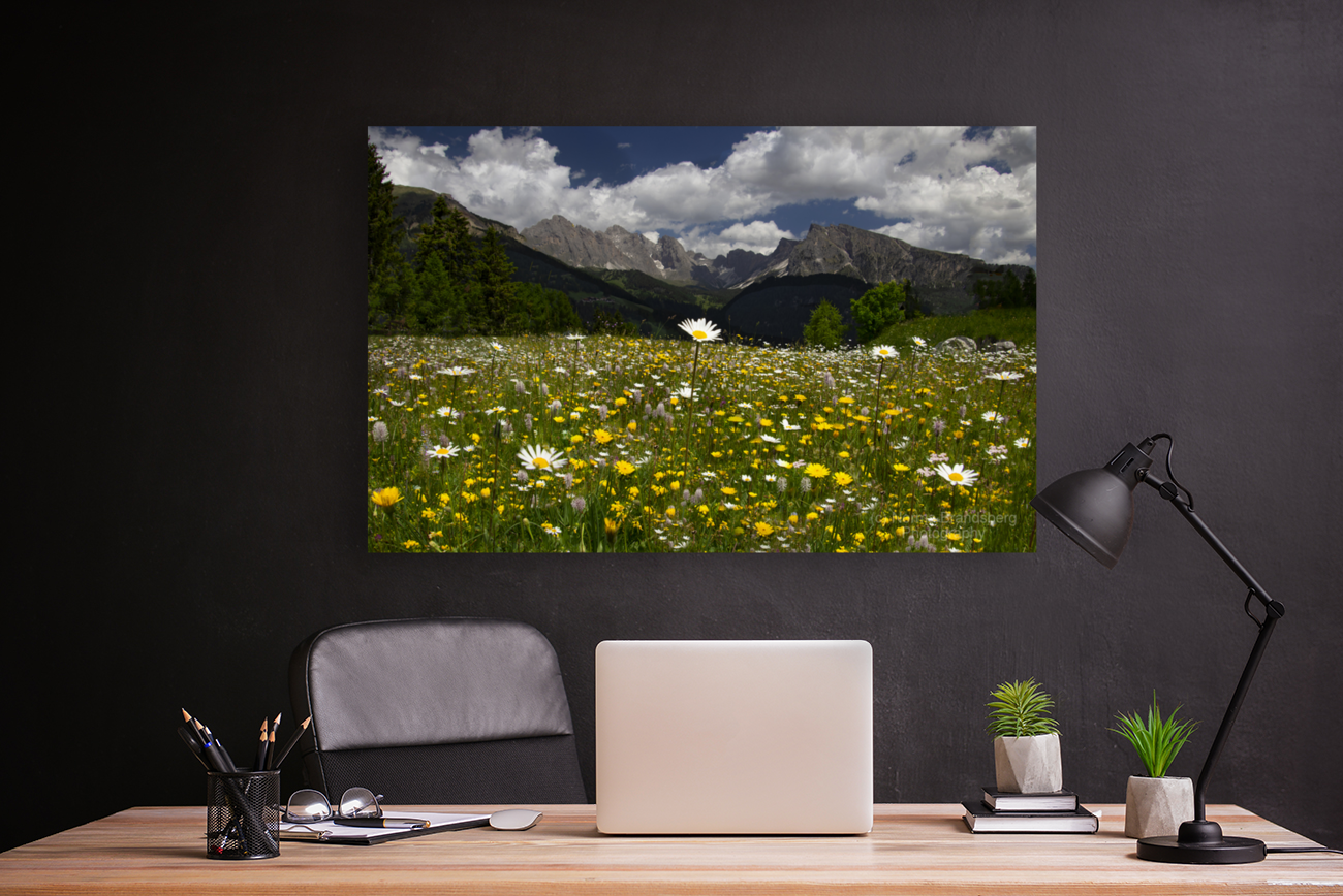 Dolomite Wild Flower Heaven Art