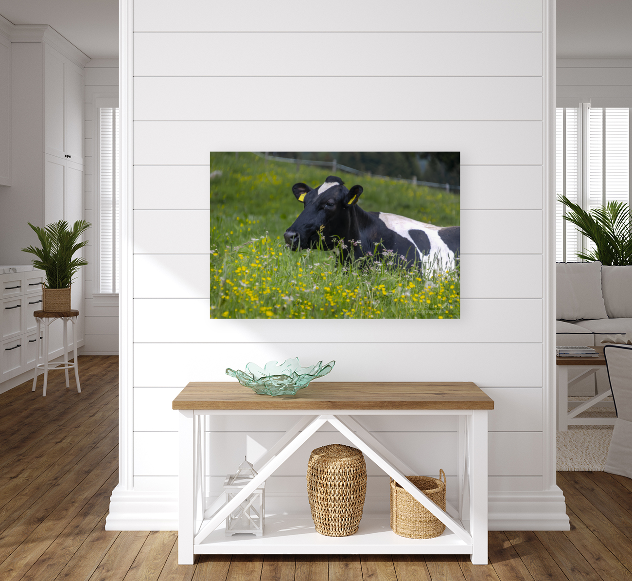 Dolomite Happy Cow Art