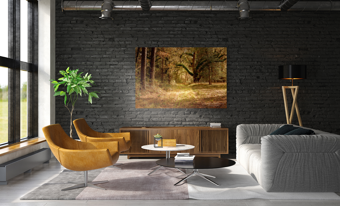 McClellanville Forest Wetlands Trail Art