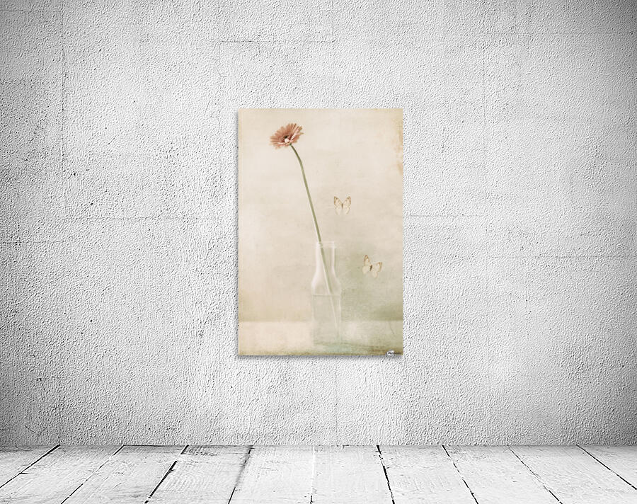 Miss Daisy Wall Preview