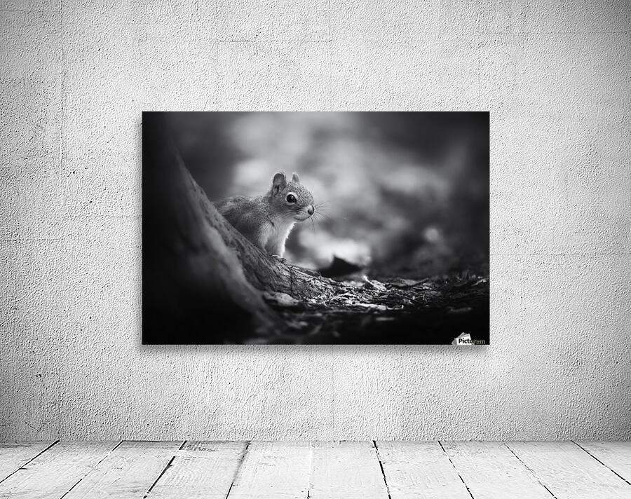 In the woods Wall Preview