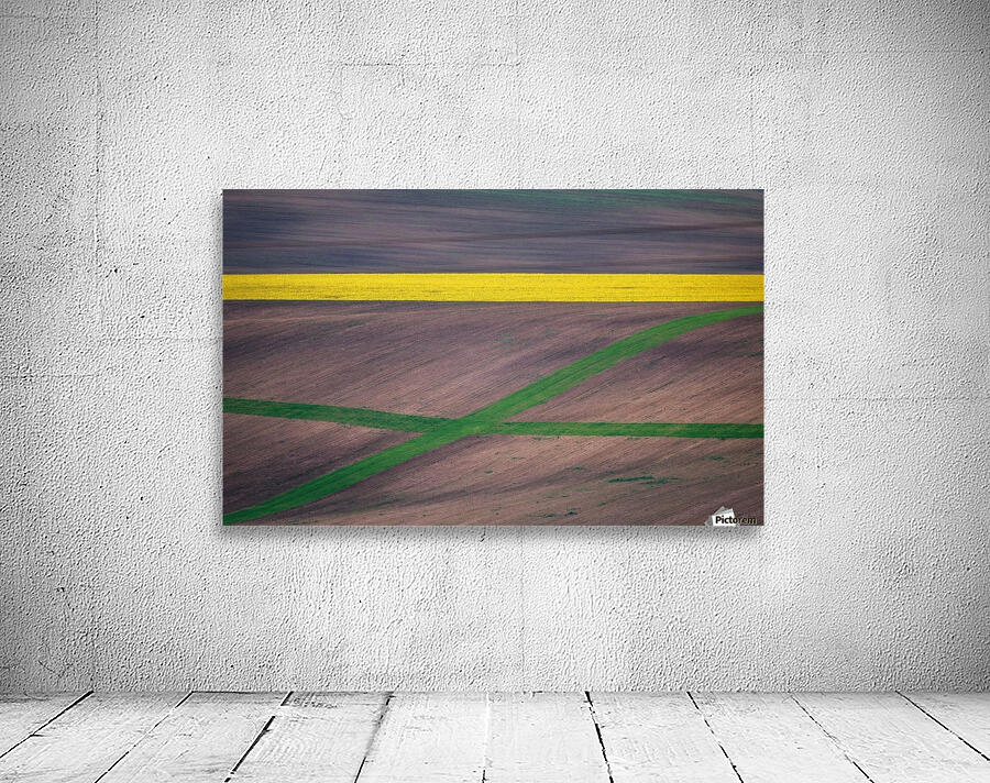 Painting the fields by 1x