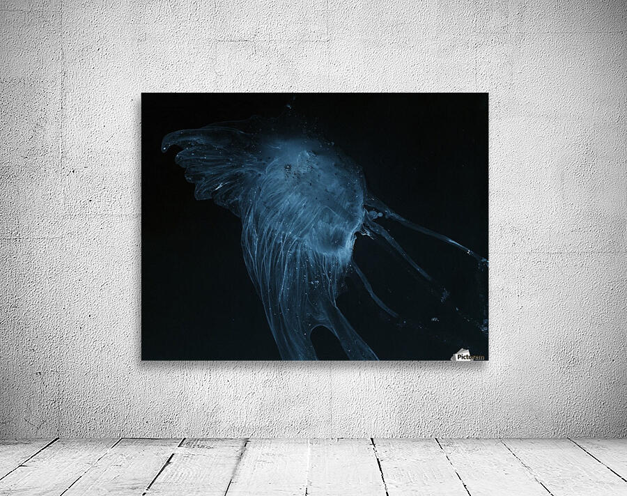 Glowing blue jellyfish in the dark water Wall Preview