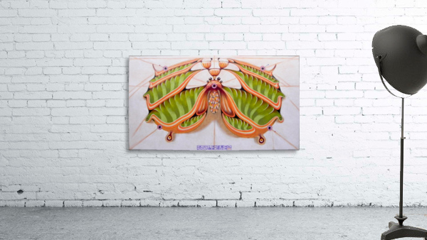Fibonacci moth by federicocortese
