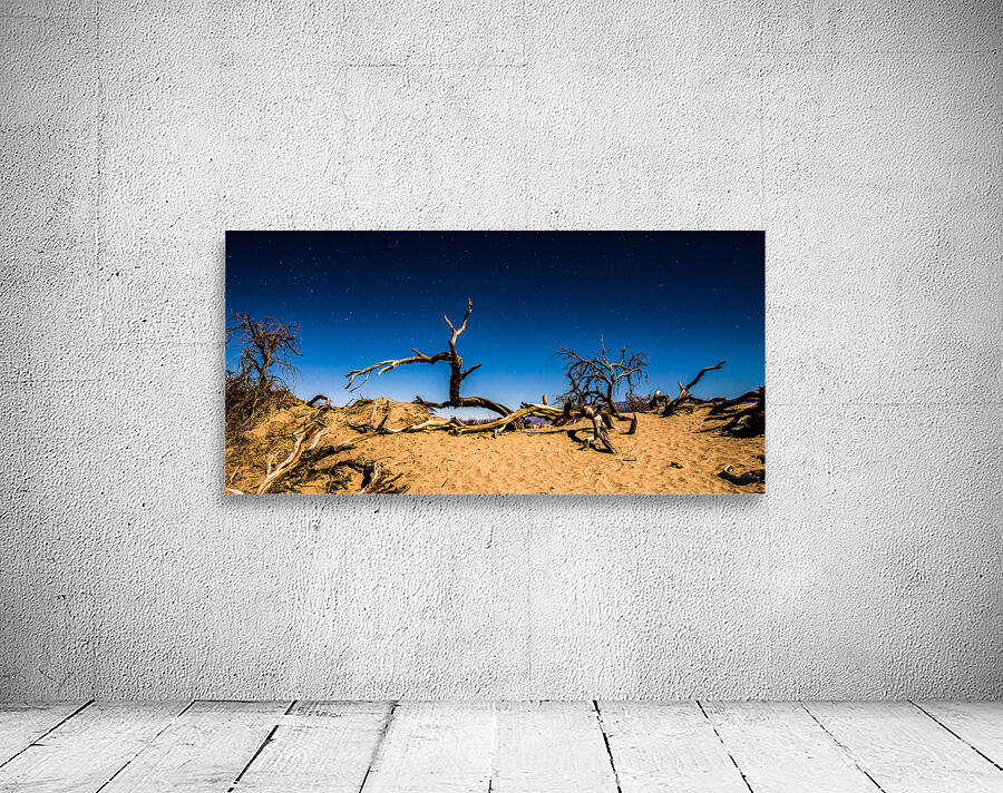 Death Valley Night Wall Preview