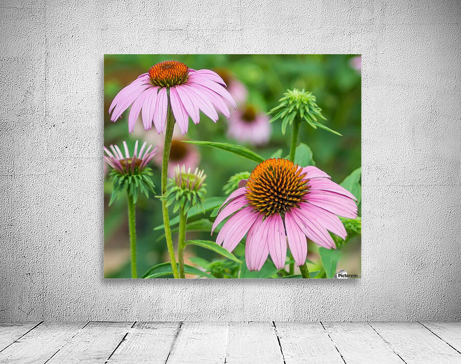 Springtime Once More Wall Preview