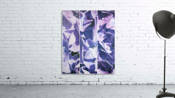 Lavender Hydrangea Triptych Wall Preview