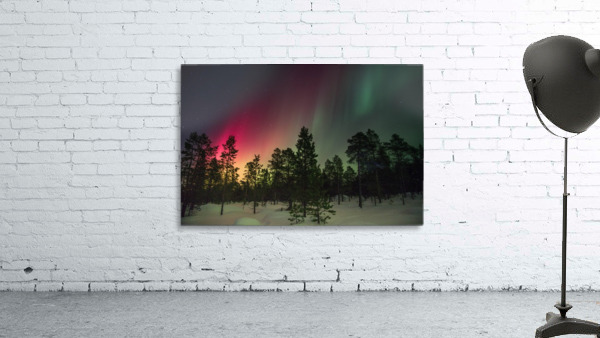 Boreal by Stockpix