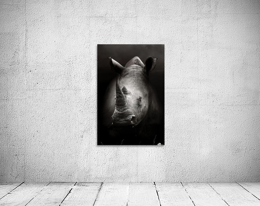Rhinoceros portrait Wall Preview