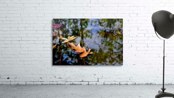 Koi Pond Delight Wall Preview