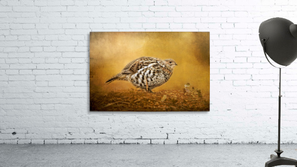 Female Ruffed Grouse Wall Preview