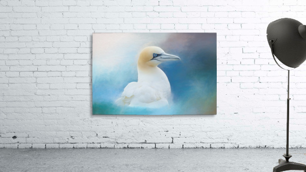 Northern Gannet ver2 Wall Preview