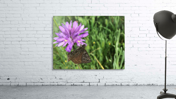 Butterfly on Wildflower Wall Preview