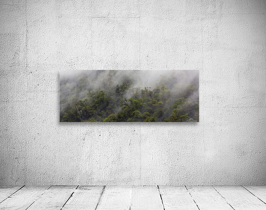 Doubtful Sound South Island New Zealand Wall Preview