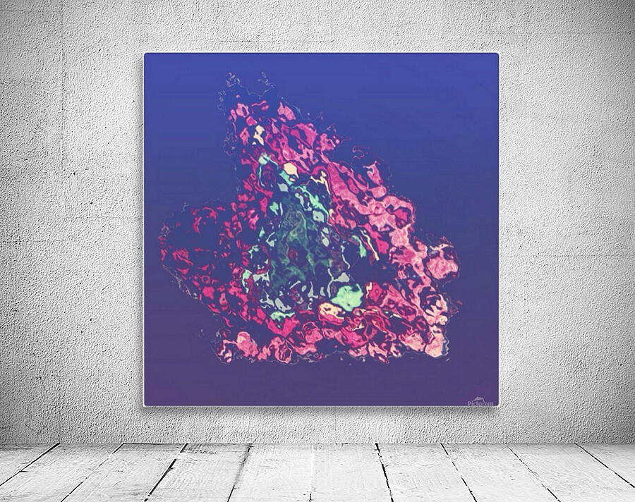 SOFT EXPLOSION Wall Preview