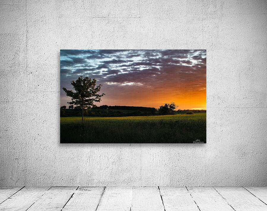 Morning Field Wall Preview