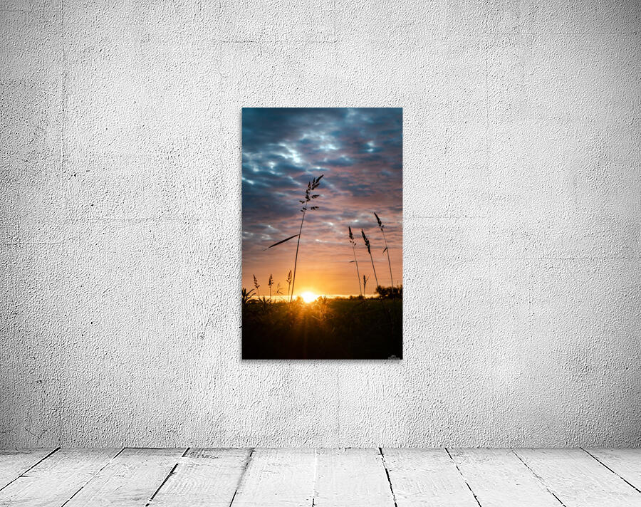 First Light Wall Preview