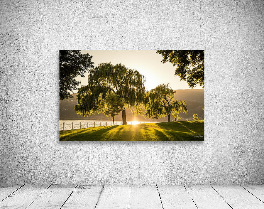 Kelowna Wall Preview