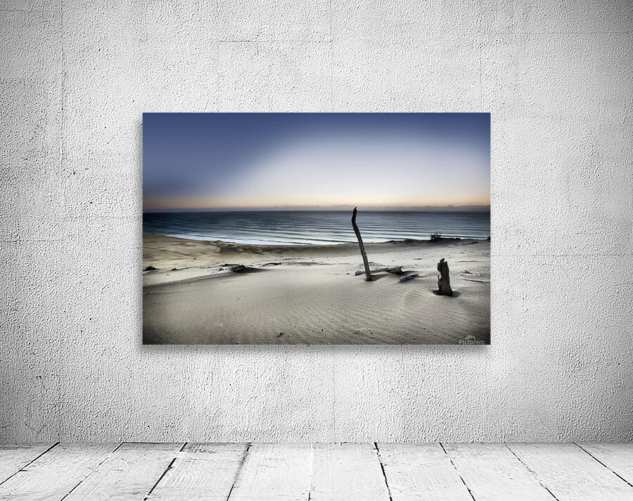 Reach for the sun Wall Preview