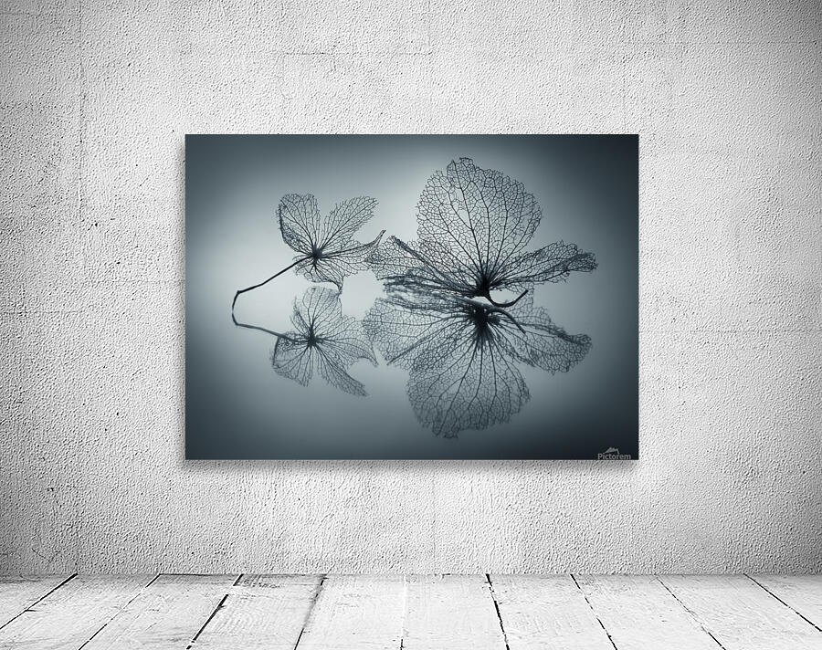 Ephemeral Beauty by 1x