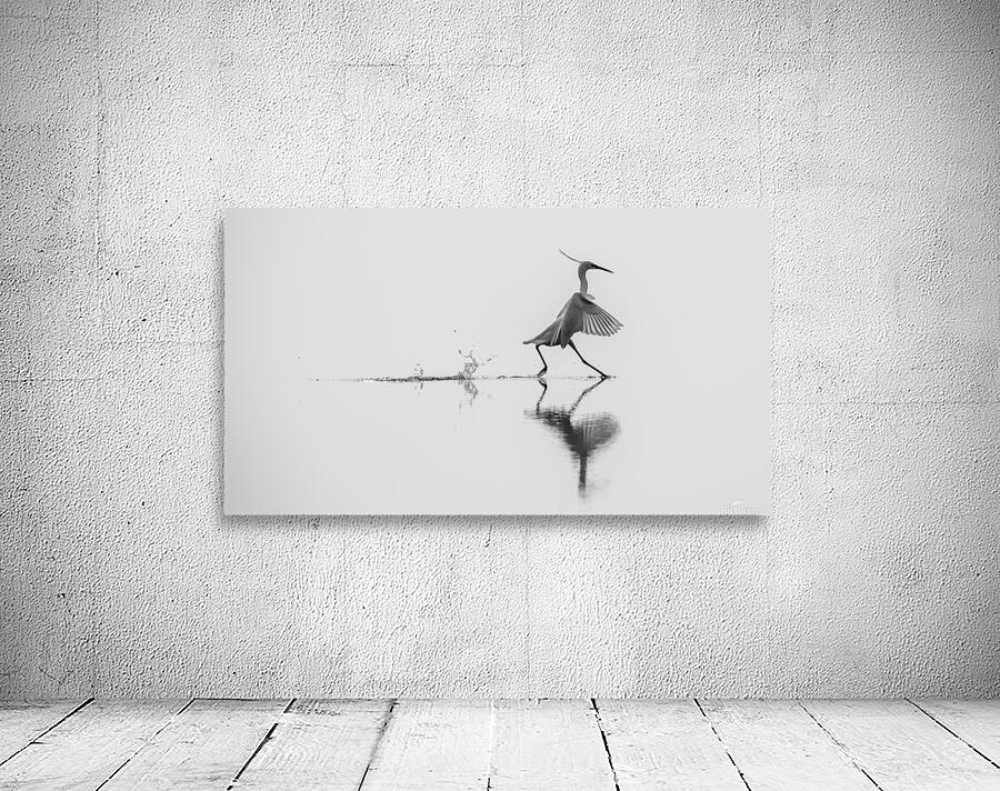 Dancing on the water Wall Preview