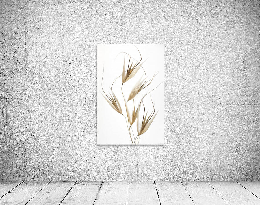 Delicacy of nature Wall Preview