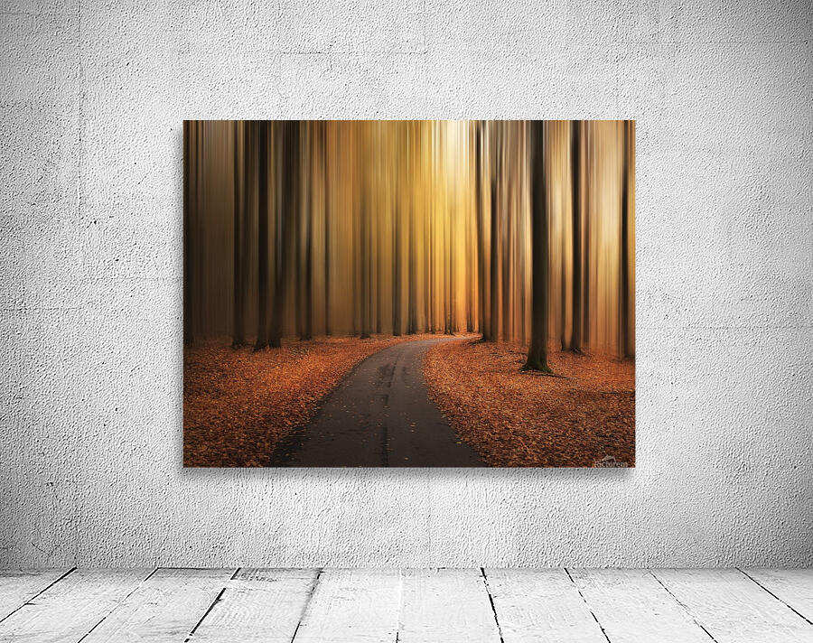 Path to unknown Wall Preview