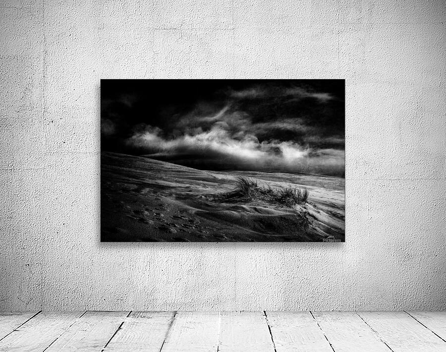 marram grass Wall Preview