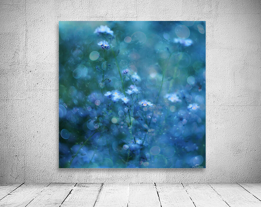 Blue Serenity by 1x