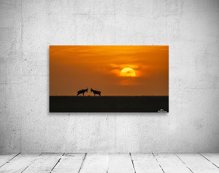 At The Sunset Wall Preview