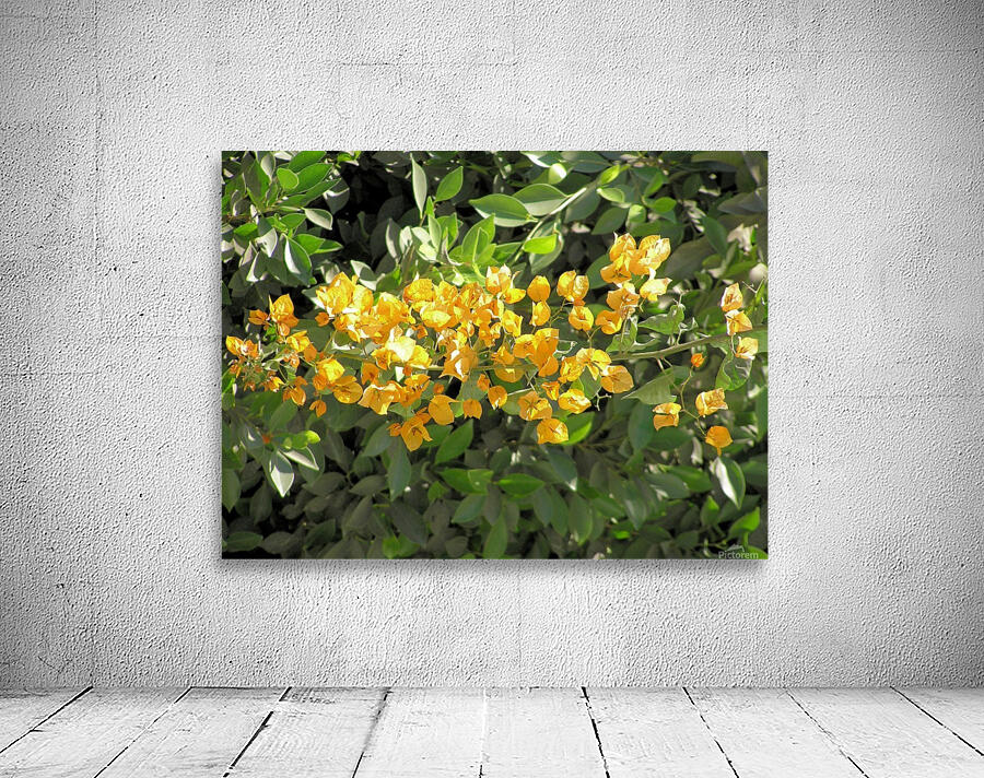 Flower35 Wall Preview