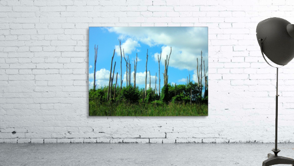 Everglades2 Wall Preview