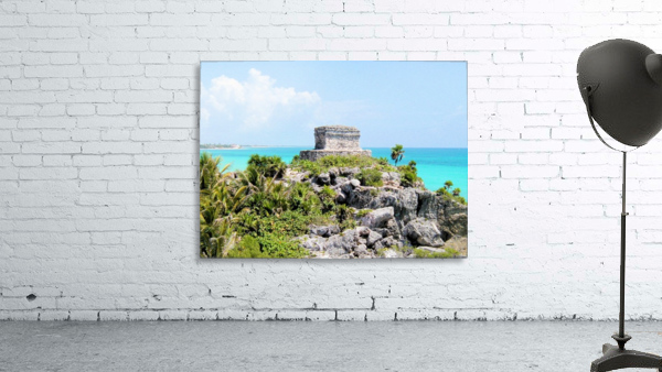 Tropical2 Wall Preview